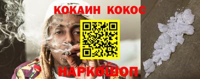 гашик Волжский