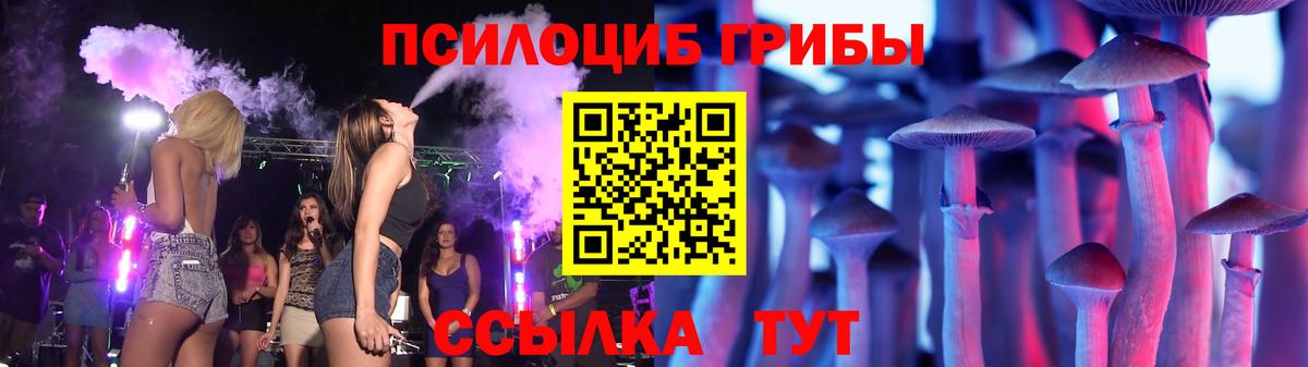 Богородицк  Галлюциногенные грибы GOLDEN TEACHER  Вход с VPN 